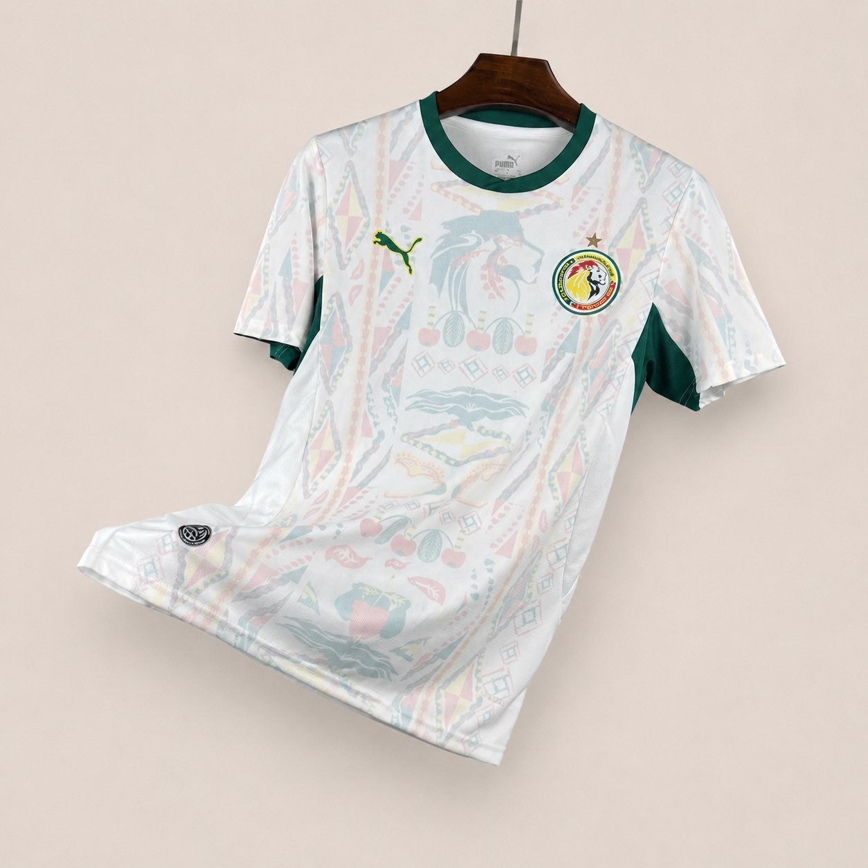 Sénégal Maillot Domicile 26/27